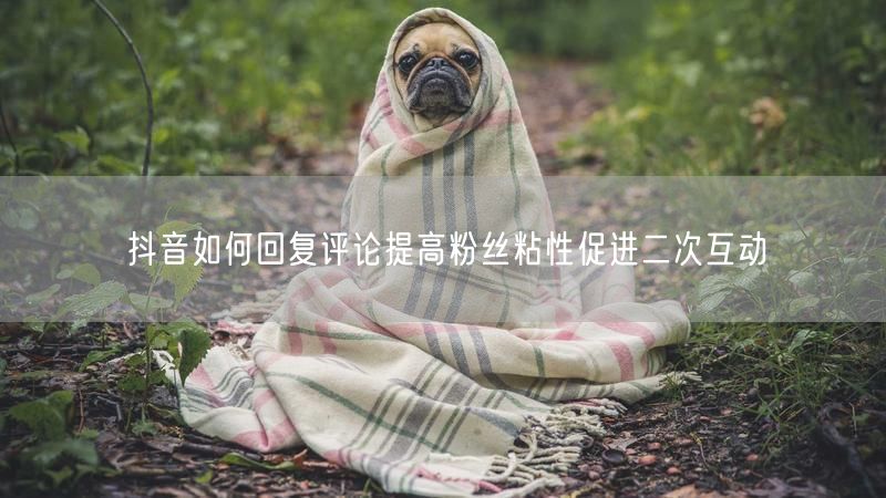 抖音如何回复评论提高粉丝粘性促进二次互动