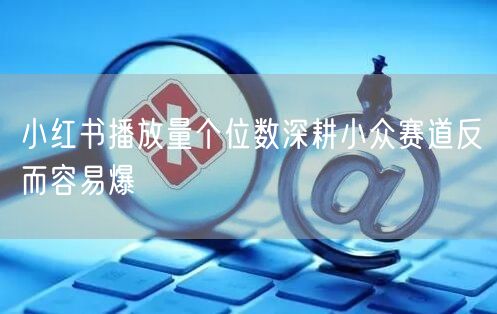 小红书播放量个位数深耕小众赛道反而容易爆