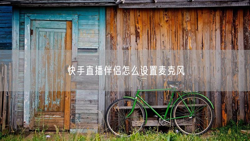 快手直播伴侣怎么设置麦克风