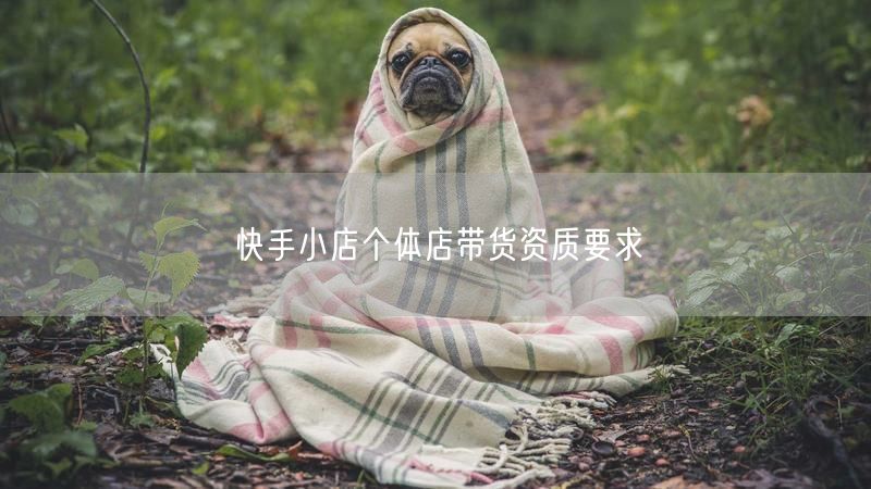 快手小店个体店带货资质要求
