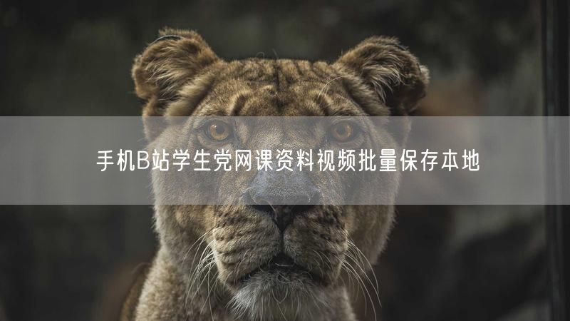 手机B站学生党网课资料视频批量保存本地