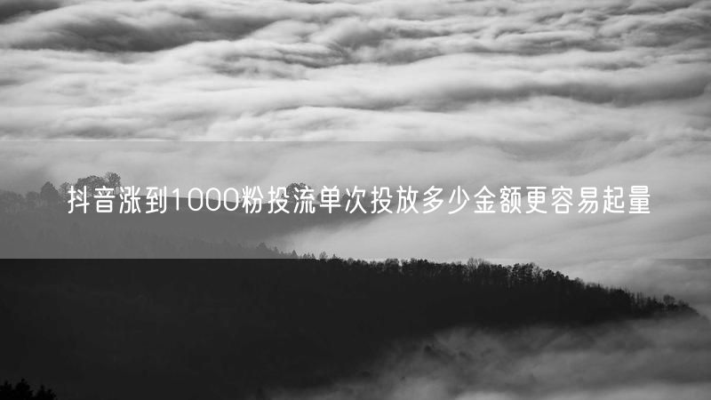 抖音涨到1000粉投流单次投放多少金额更容易起量