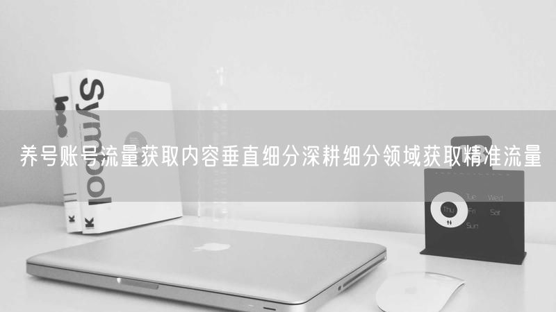 养号账号流量获取内容垂直细分深耕细分领域获取精准流量