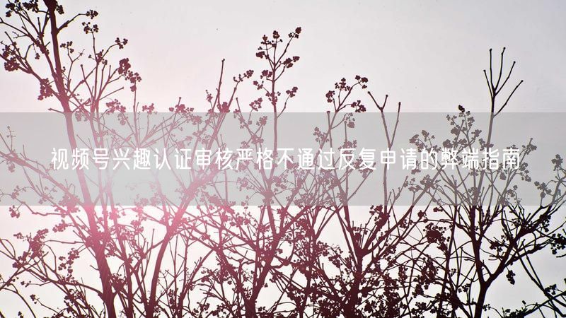 视频号兴趣认证审核严格不通过反复申请的弊端指南