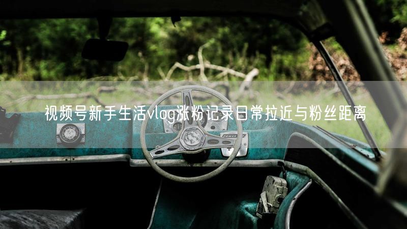 视频号新手生活vlog涨粉记录日常拉近与粉丝距离