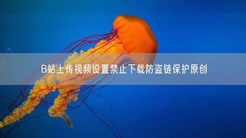 B站上传视频设置禁止下载防盗链保护原创