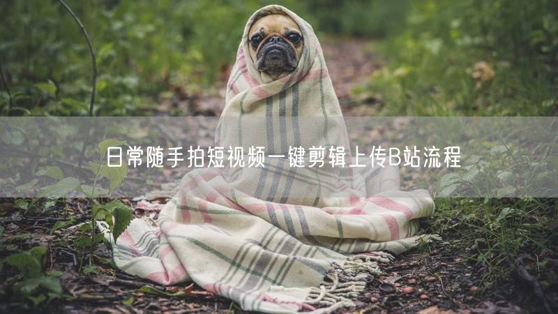 日常随手拍短视频一键剪辑上传B站流程