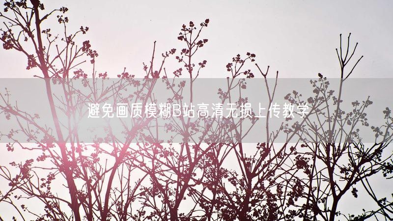 避免画质模糊B站高清无损上传教学