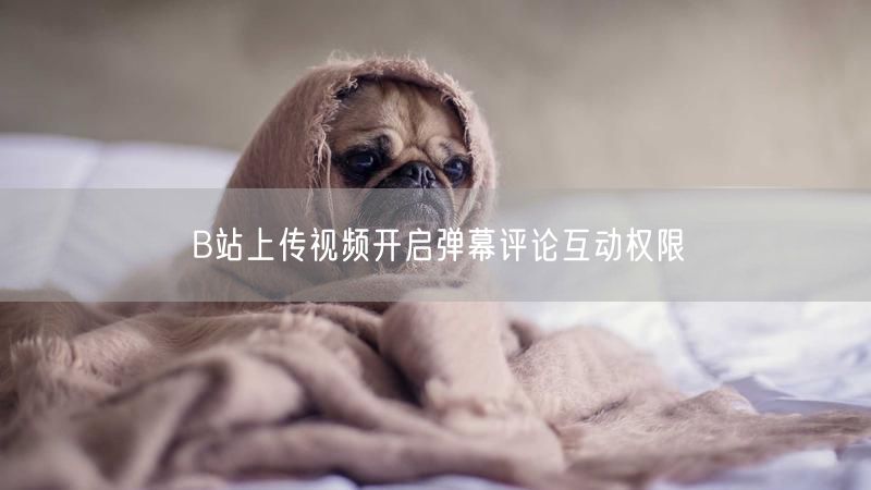 B站上传视频开启弹幕评论互动权限