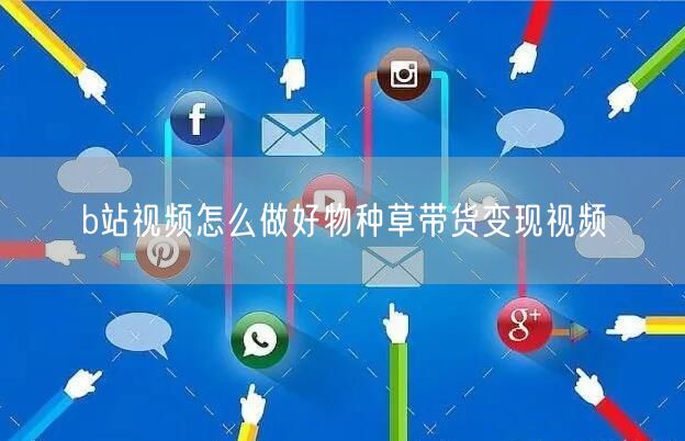 b站视频怎么做好物种草带货变现视频