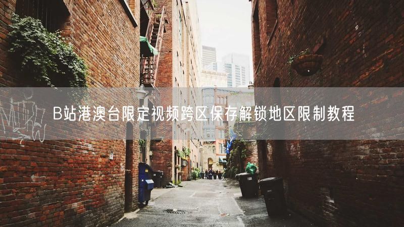 B站港澳台限定视频跨区保存解锁地区限制教程