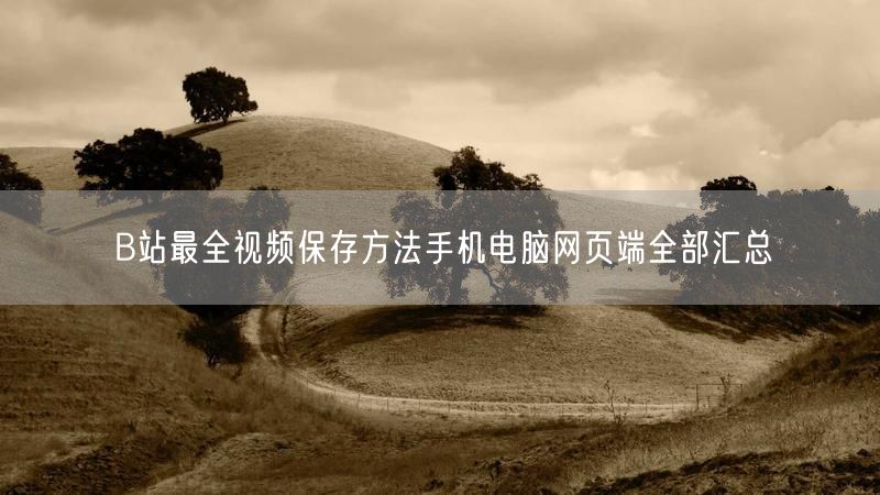 B站最全视频保存方法手机电脑网页端全部汇总