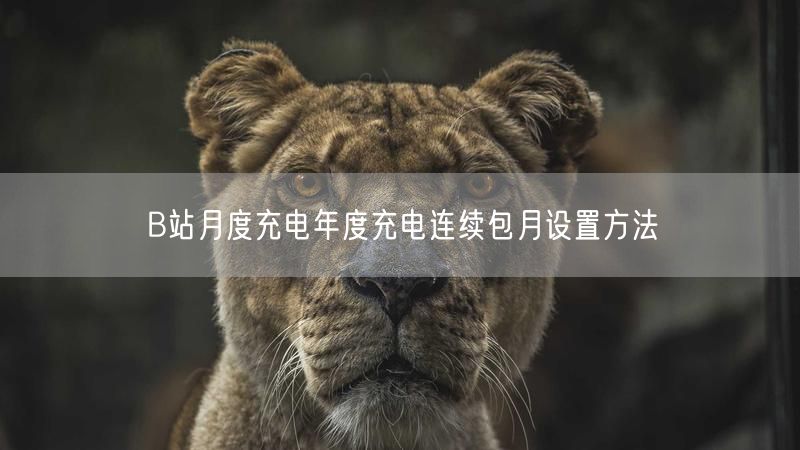 B站月度充电年度充电连续包月设置方法