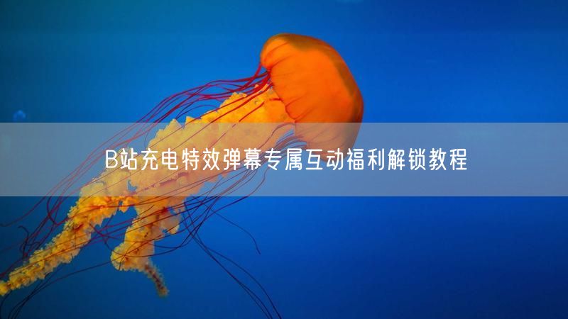 B站充电特效弹幕专属互动福利解锁教程