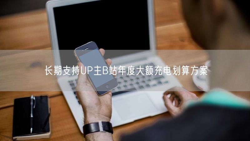 长期支持UP主B站年度大额充电划算方案