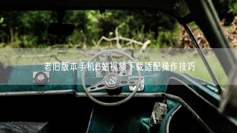 老旧版本手机B站视频下载适配操作技巧