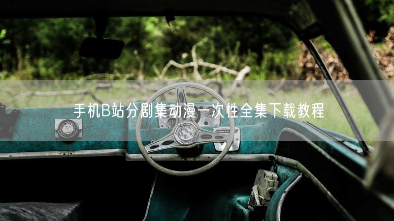 手机B站分剧集动漫一次性全集下载教程