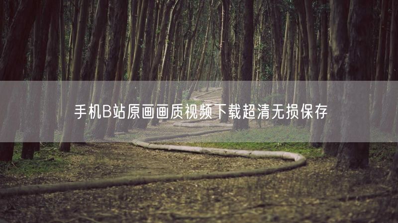 手机B站原画画质视频下载超清无损保存