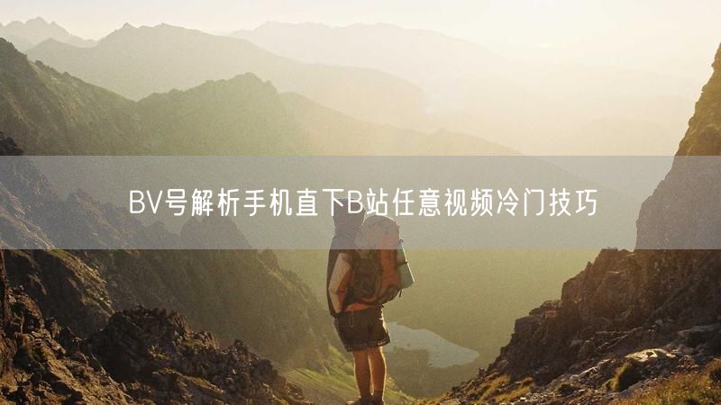 BV号解析手机直下B站任意视频冷门技巧