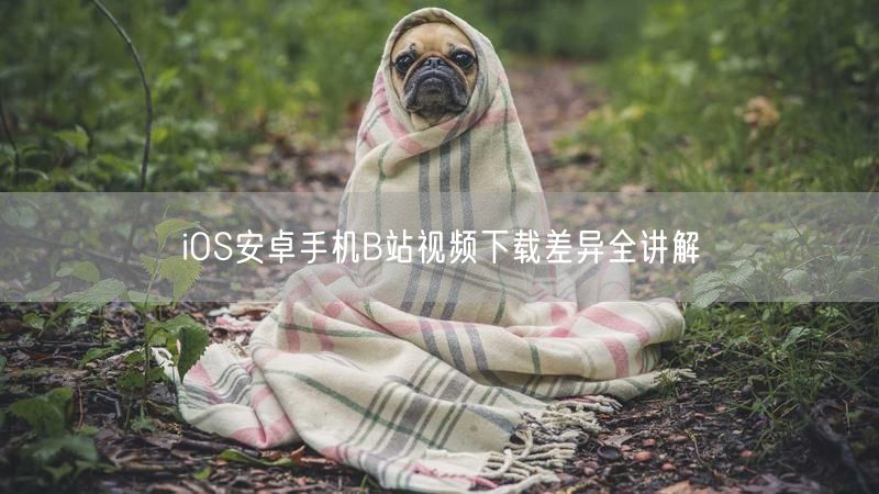 iOS安卓手机B站视频下载差异全讲解