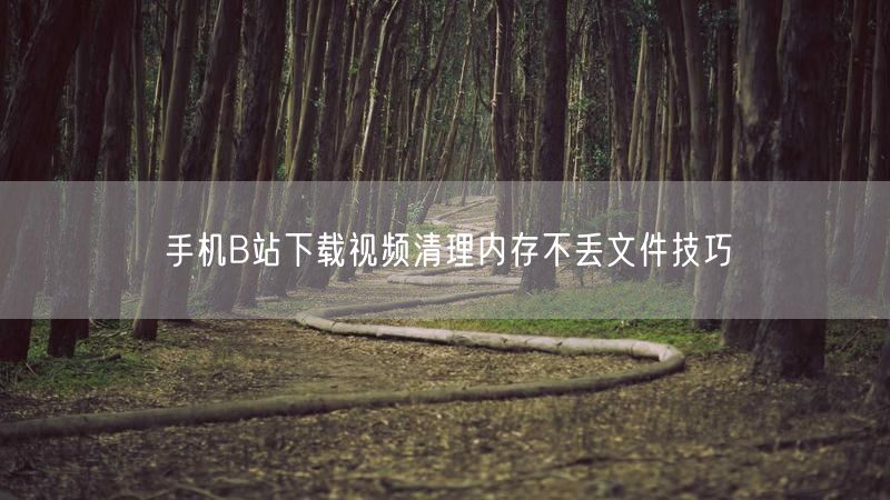 手机B站下载视频清理内存不丢文件技巧