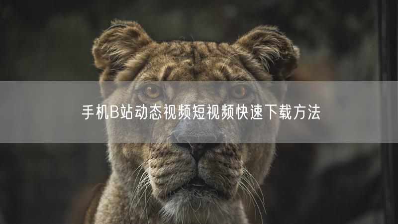 手机B站动态视频短视频快速下载方法